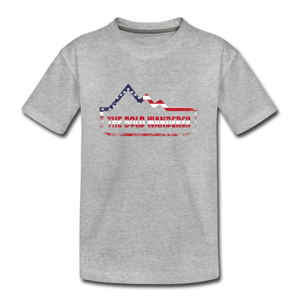 Toddler Premium T-Shirt - heather gray