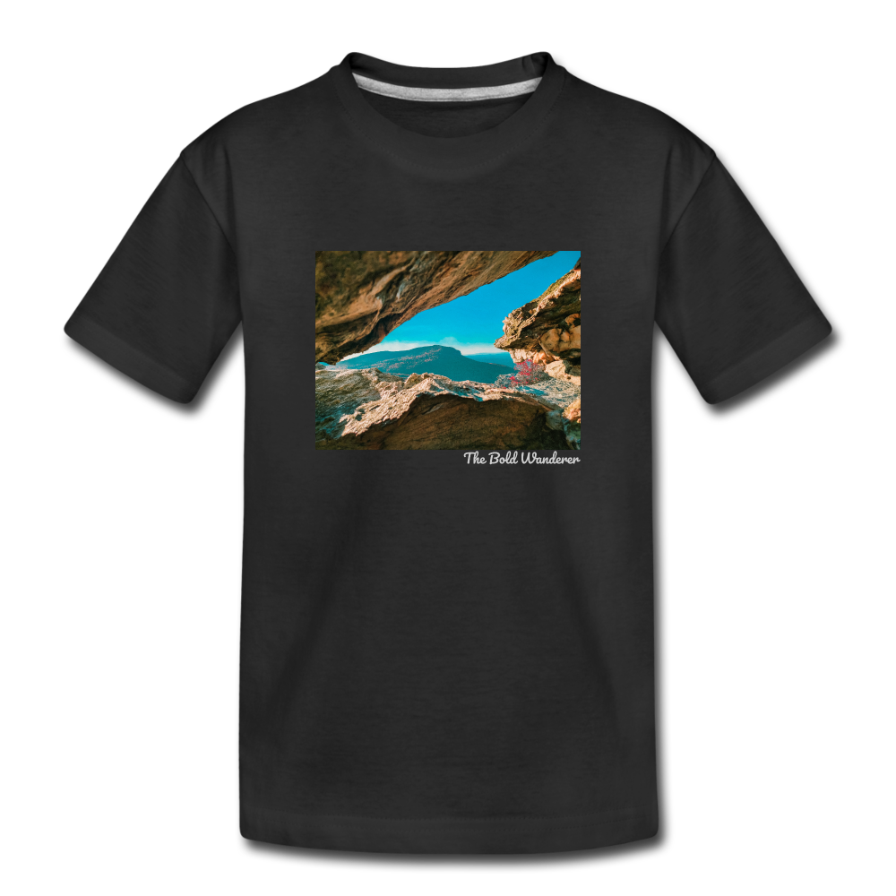 Toddler Premium T-Shirt - black