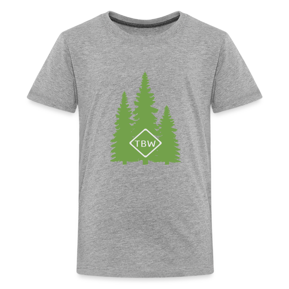 Kids' Premium T-Shirt - heather gray