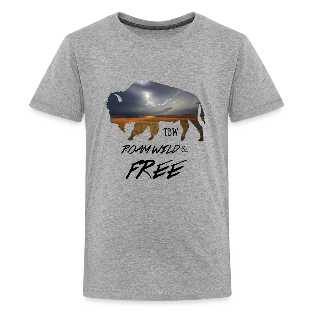 Kids' Premium T-Shirt - heather gray