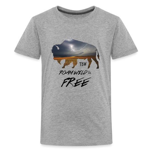 Kids' Premium T-Shirt - heather gray